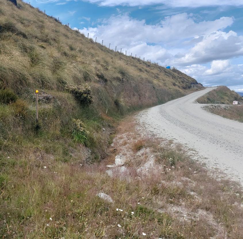 Natural wire-mesh system supports coronet peak ski slope 845X831_2